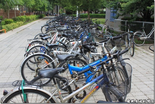 成大21世紀風味館後面有成大的學生宿舍，有學生就有腳踏車。