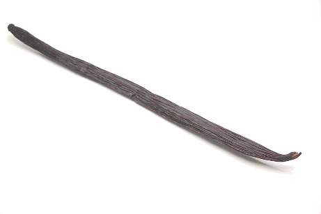 [vanillabean%255B5%255D.jpg]