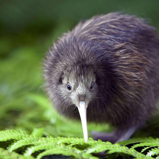 Hd-145664-ascw145664