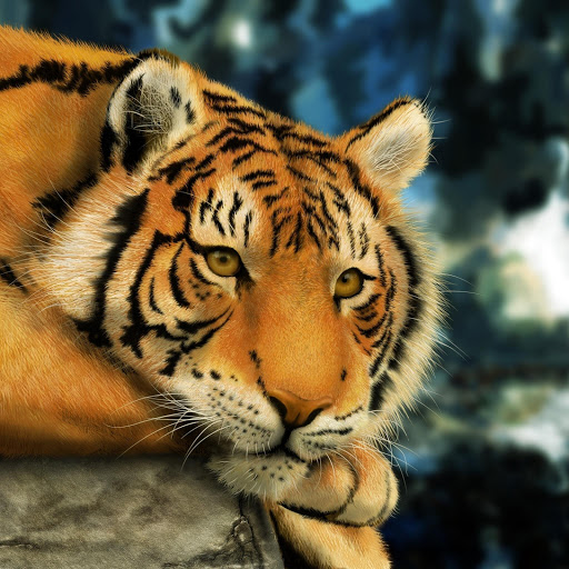 Hd-134704-ascw134704