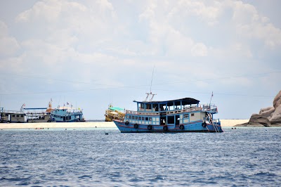 DSC_0301.JPG