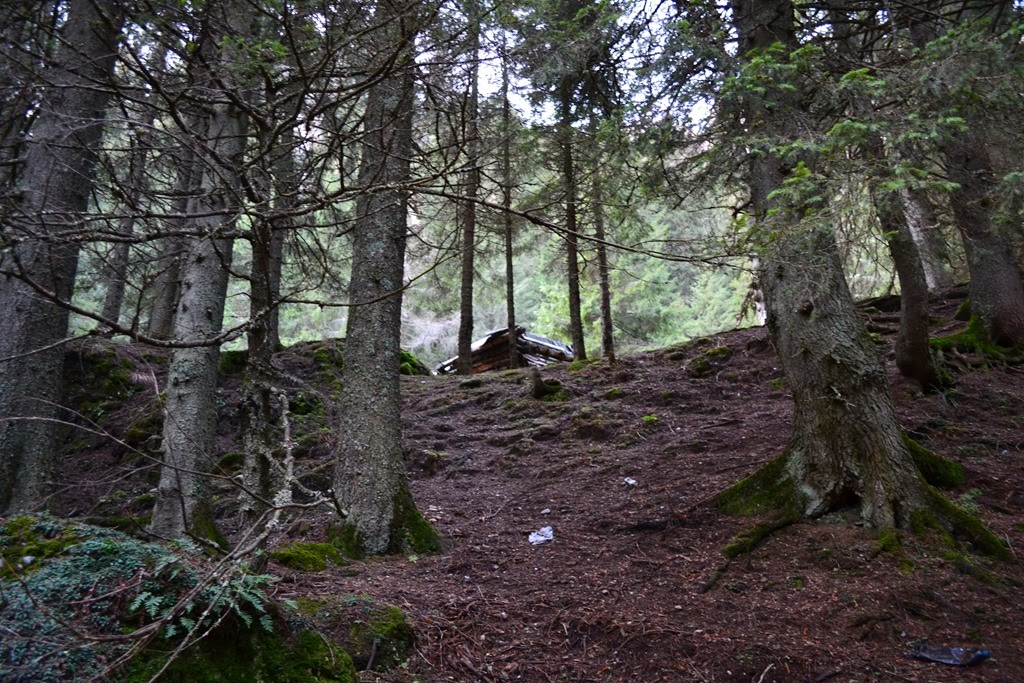 [DSC_00353.jpg]