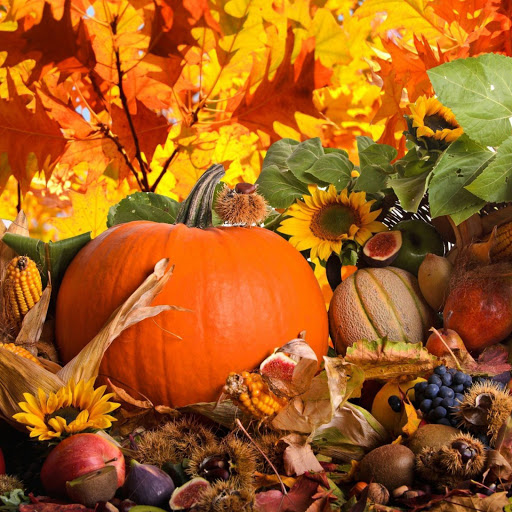 Hd-138200-ascw138200