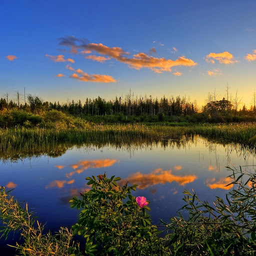 Hd-143071-ascw143071