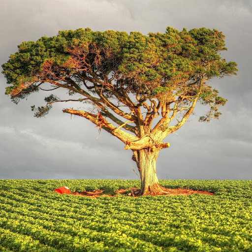 Hd-178944-ascw178944