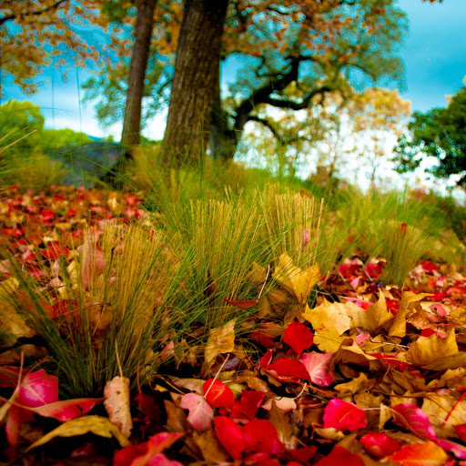 Hd-141826-ascw141826