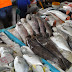 BAGAIMANA CARA TERBAIK UNTUK SIMPAN IKAN SUPAYA TAHAN LAMA DAN KEKAL SEGAR ?