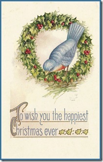 Christmas Bluebird