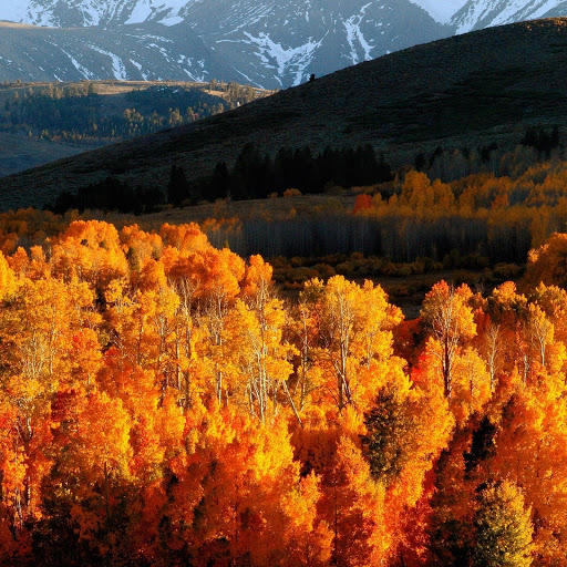 Hd-131288-ascw131288