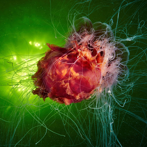 Hd-186187-ascw186187