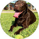 Andrew Ducote profile picture