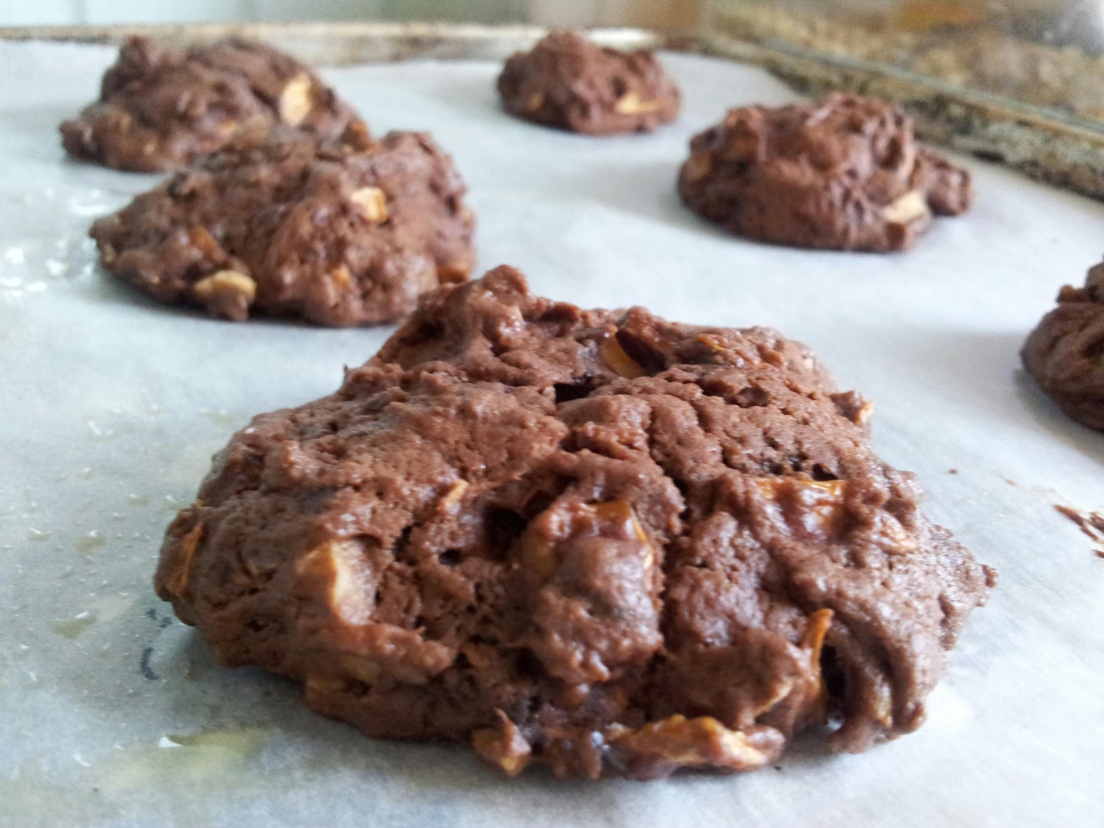 Chocolate Mushroom cookies. Moist, chocolatey and mushroomy. | Fun with ...