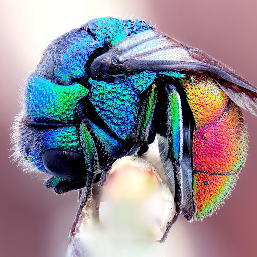 Hd-135579-ascw135579