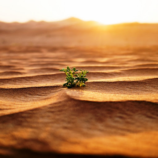 Hd-161724-ascw161724