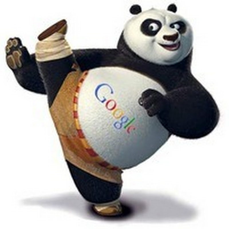 Apa itu Google Panda? Dan apa Efeknya?