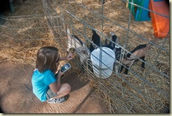 janie with goats 2