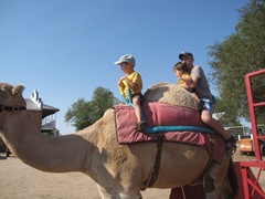 IMG_8725 IMG_8725