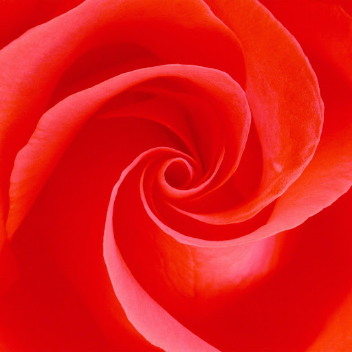 Hd-151317-ascw151317