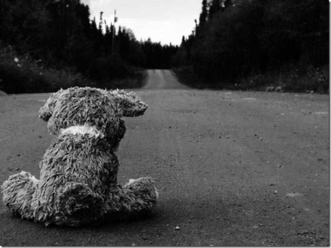 road-sad-teddy-bear-17347