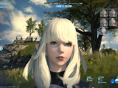 【ベストコレクション】 ff14 キャラメイク 美人 エレゼン 207046-Ff14 キャラメイク 美人 エレゼン