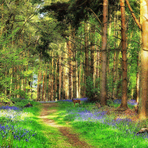 Hd-152697-ascw152697