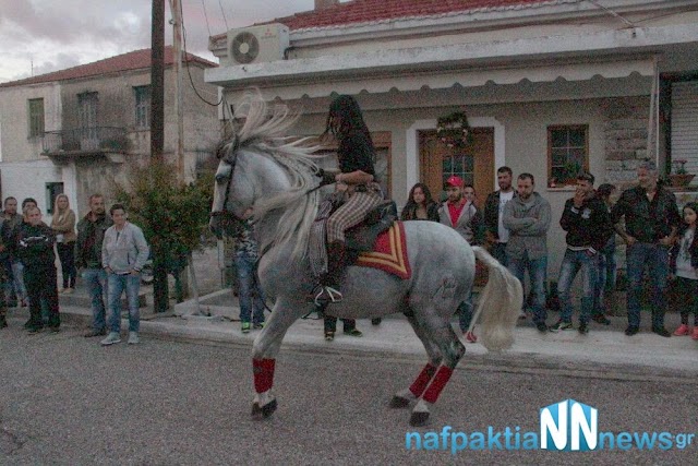 _MG_9292.jpg