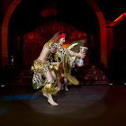 IMG_6138.jpg
