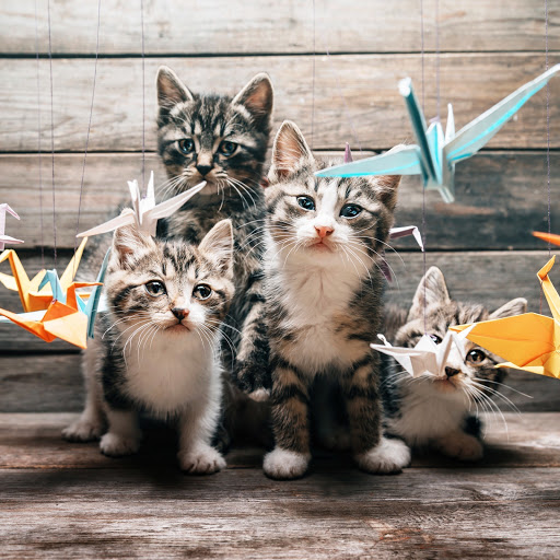 Hd-148410-ascw148410