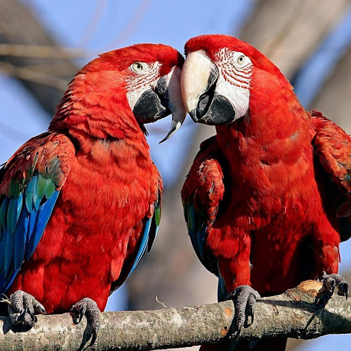 Hd-141366-ascw141366