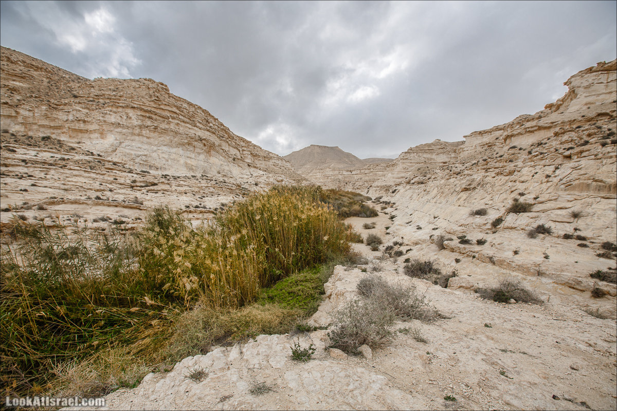 Ручей Акев и источник Эйн Акев в пустыне Негев. LookAtIsrael.com - Фото путешествия по Израилю