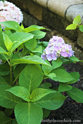 [IMG_5719%255B3%255D.jpg]