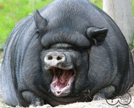 [clip_image006%255B7%255D%255B3%255D.jpg]