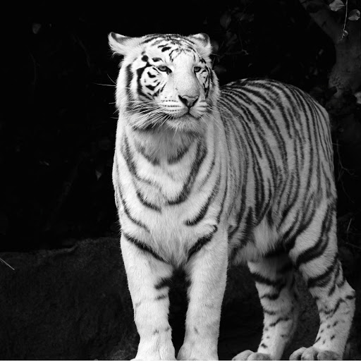 Hd-176760-ascw176760