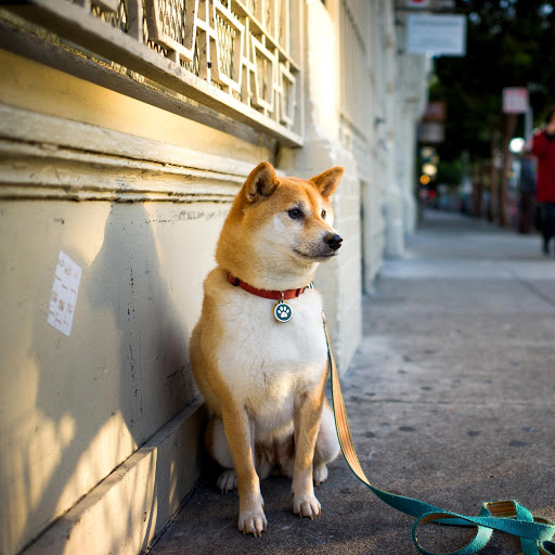 Hd-156617-ascw156617