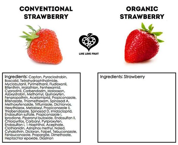 Conventional Strawberry Vs. Organic Strawberry