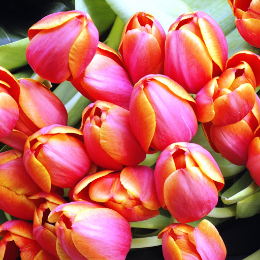 Hd-146171-ascw146171