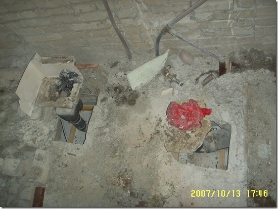 Gallery2091_3