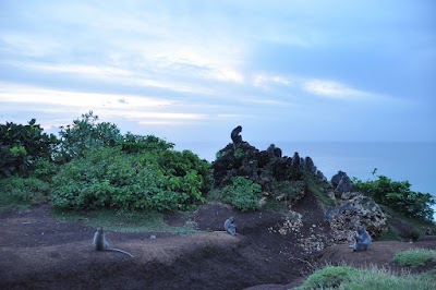 DSC_0207.jpg