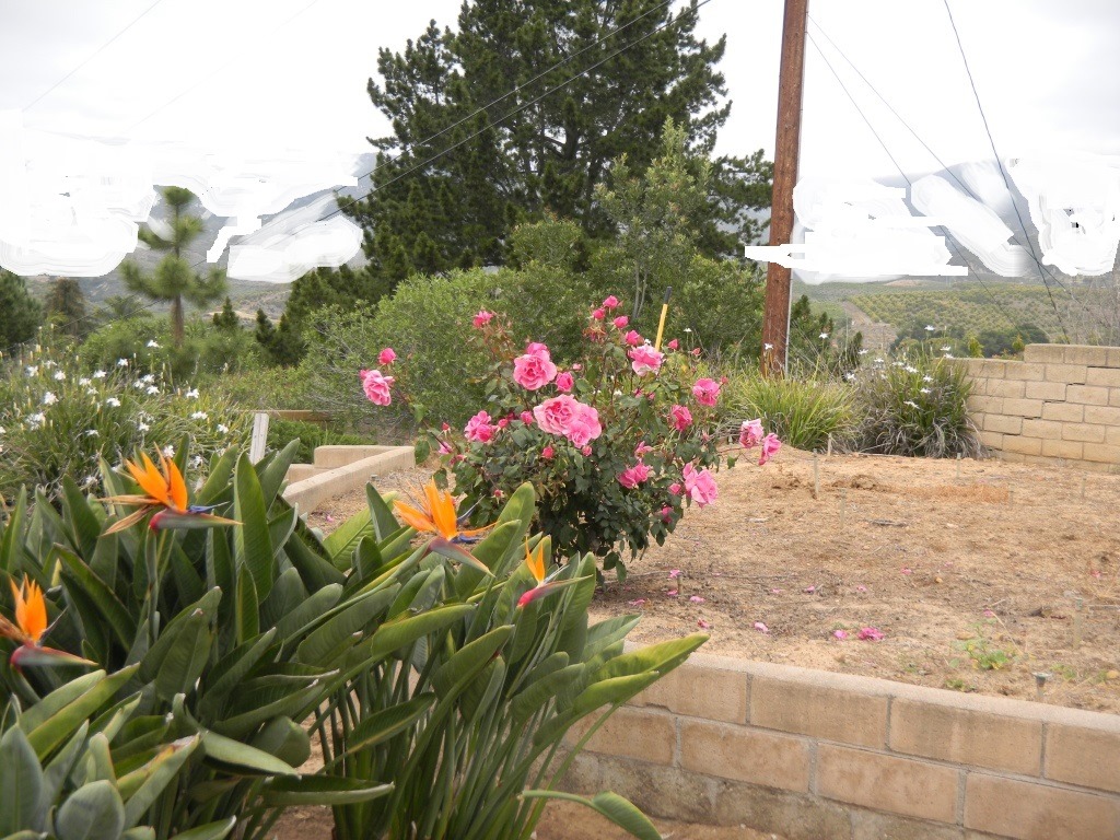 [DSCN3448%2520-%2520Kopie%255B4%255D.jpg]