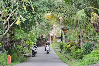 DSC_0127.jpg