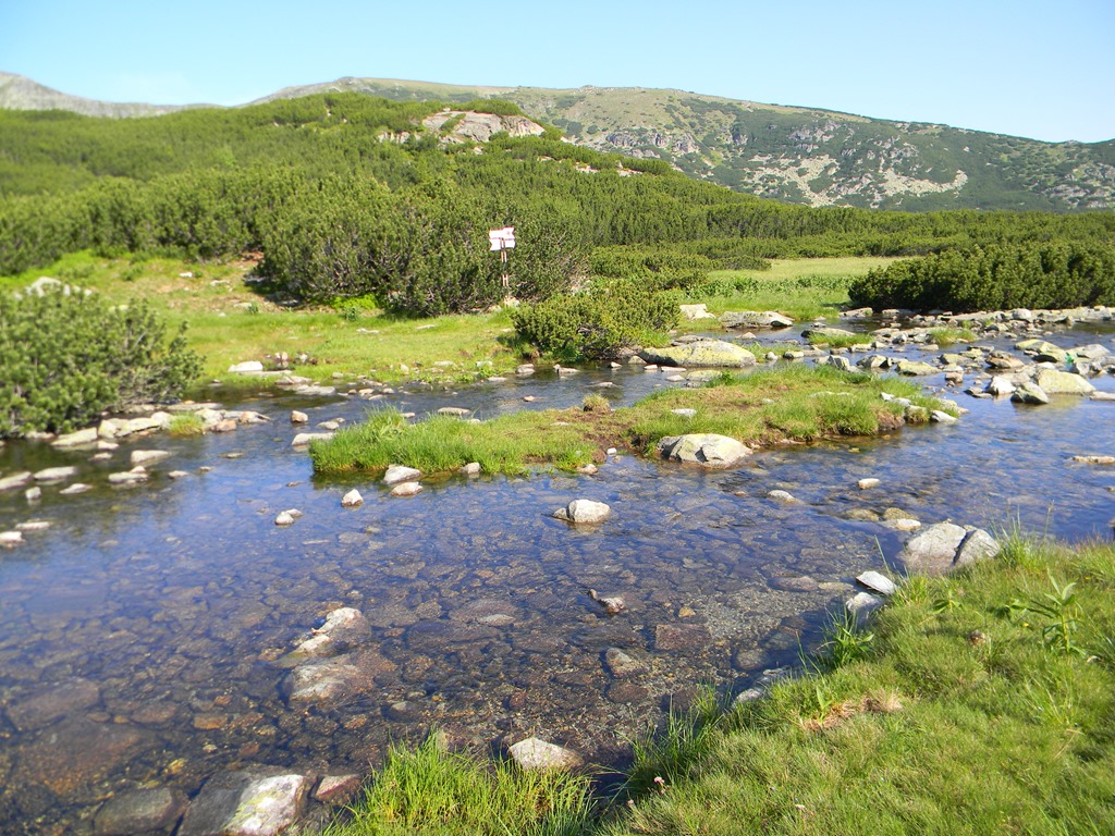 [DSCN23153.jpg]