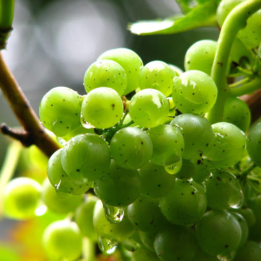 Hd-172586-ascw172586