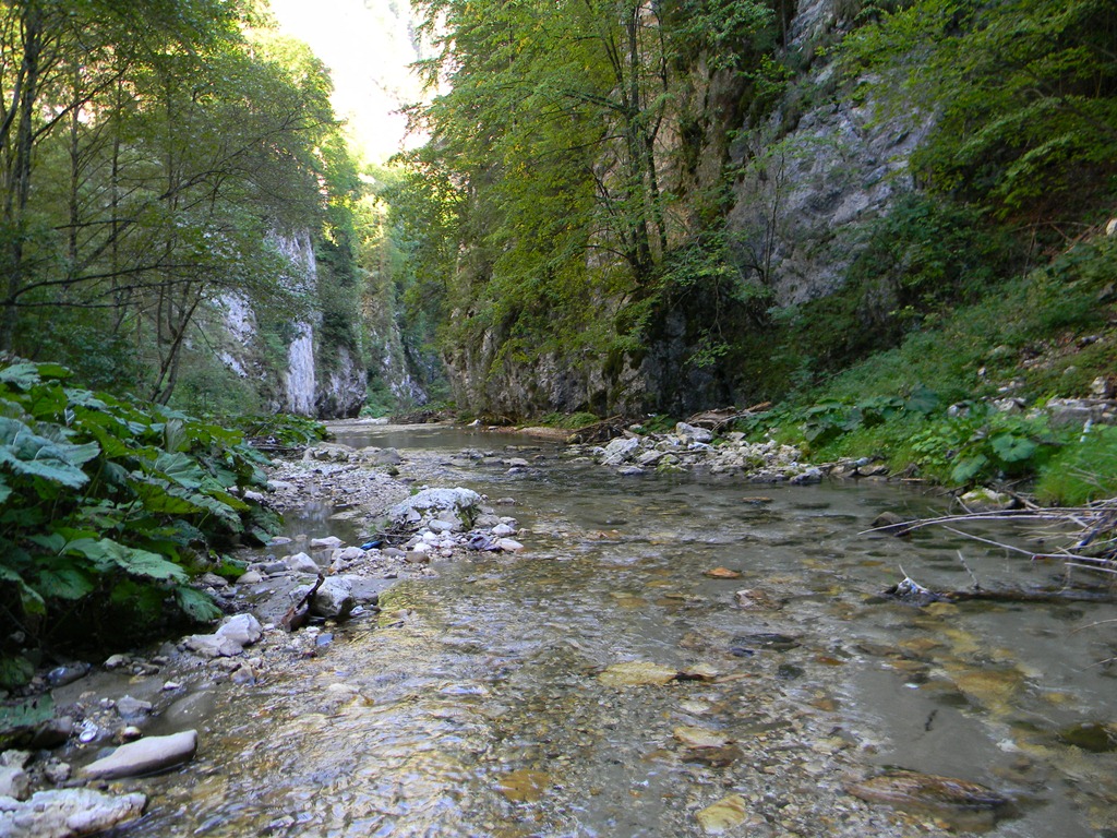 [DSCN54243.jpg]