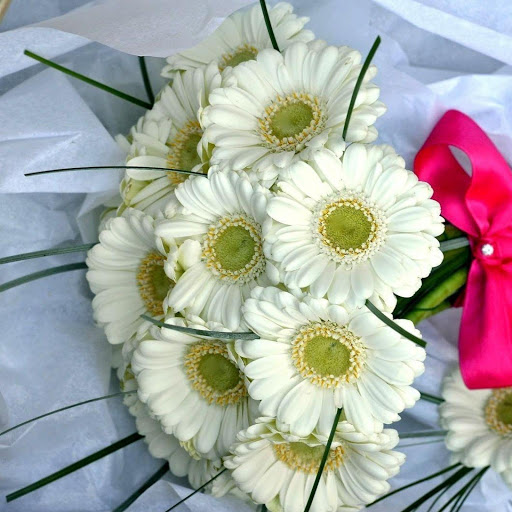 Hd-171982-ascw171982