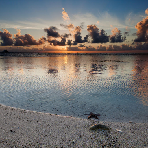 Hd-167831-ascw167831