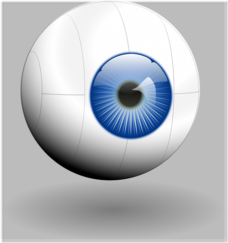 human eye model