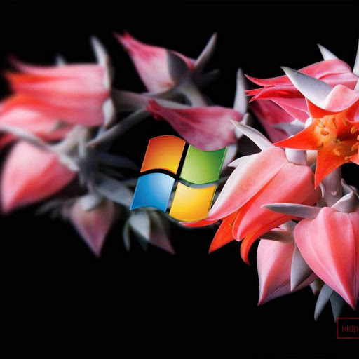 Hd-169327-ascw169327