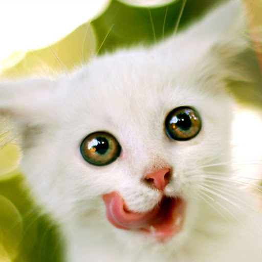 Hd-144448-ascw144448