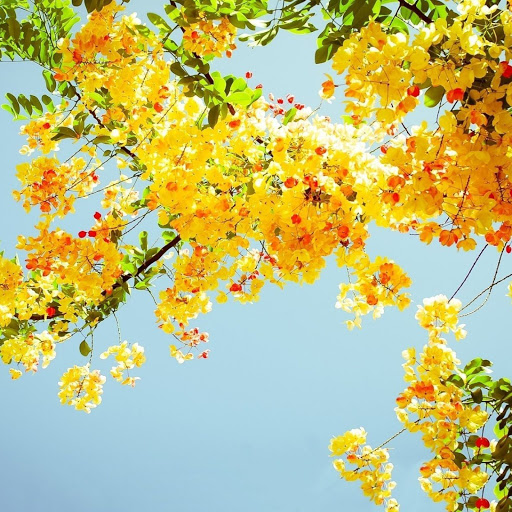 Hd-148963-ascw148963