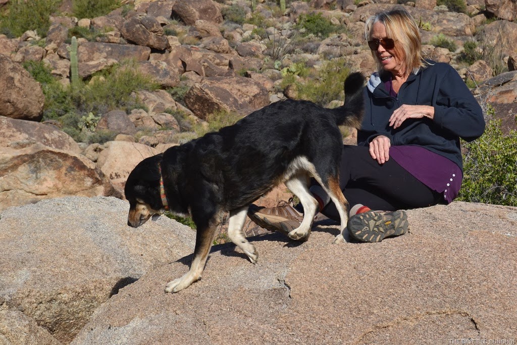 [DSC_0019%255B3%255D.jpg]